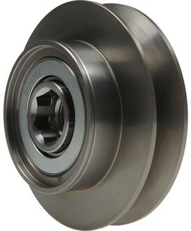 Nissan Dynamovrijloop AFP5003