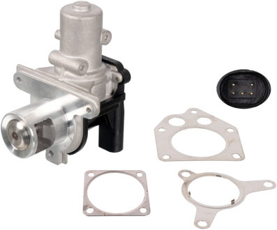 Nissan EGR-klep 173487