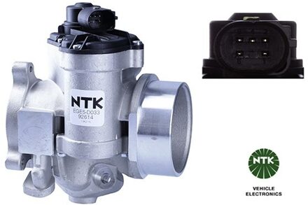 Nissan EGR-klep EGE5D033