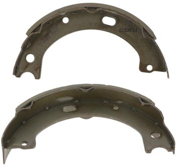 Nissan Fer Remschoenset