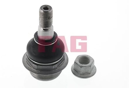 Nissan Fuseekogel 825033210