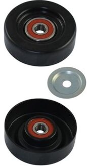 Nissan Geleide rol/omdraairol v-snaren DIP6509