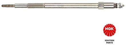 Nissan Gloeibougie Y538J