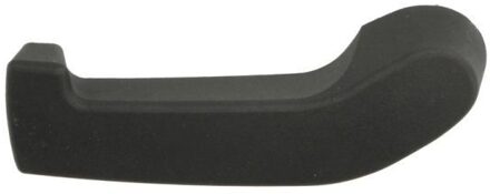 Nissan Handgreep, interieur 601004053410LWP