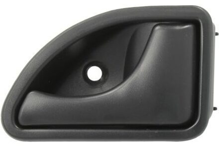 Nissan Handgreep, interieur 601009029408P