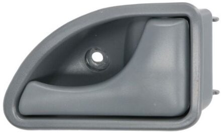 Nissan Handgreep, interieur 601009029408PPD