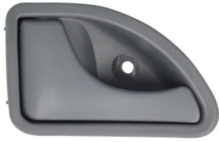 Nissan Handgreep, interieur 601009029409PPD