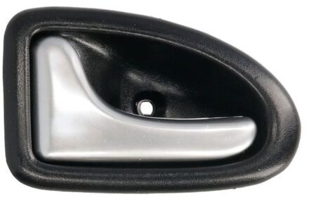 Nissan Handgreep, interieur 601009030409P