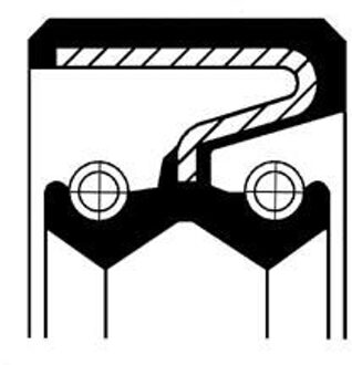 Nissan Keerring, oliepomp 19027897B