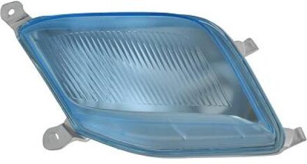 Nissan Knipperlicht 6024272