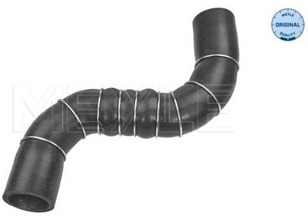 Nissan Laadluchtslang 16140360001