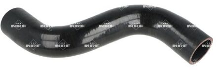 Nissan Laadluchtslang 166169