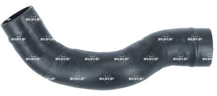 Nissan Laadluchtslang 166348