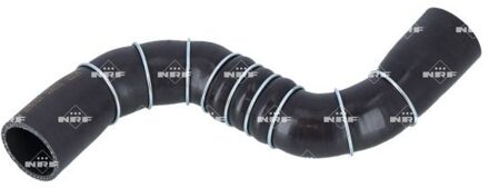 Nissan Laadluchtslang 166372