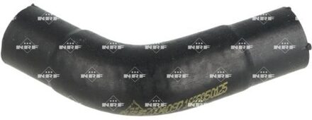 Nissan Laadluchtslang 166505