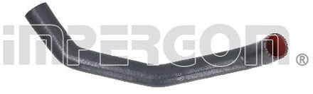 Nissan Laadluchtslang 220579