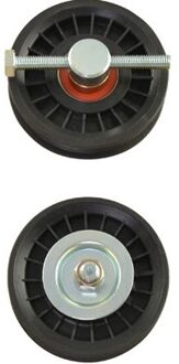 Nissan Looprol Poelie DIP6524