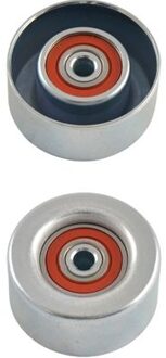 Nissan Looprol Poelie DIP6525