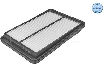 Nissan Luchtfilter 36123210021