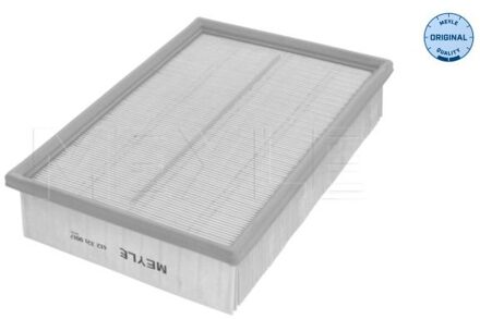 Nissan Luchtfilter 6123210017