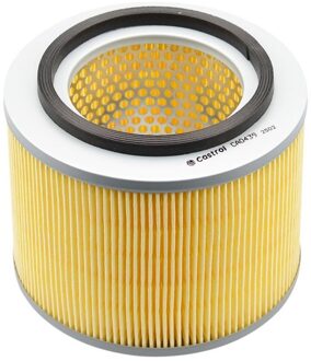 Nissan Luchtfilter CA0439