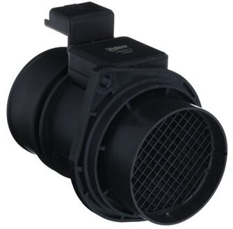 Nissan Luchtmassameter 366970