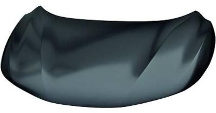 Nissan Motorkap 6046800