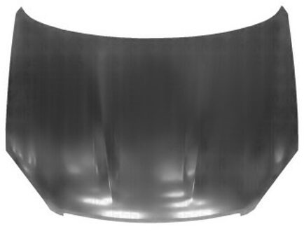 Nissan Motorkap Tot 2010 3388660