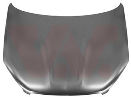 Nissan Motorkap Voor 3389660