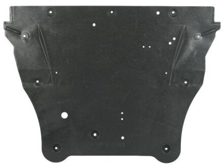 Nissan Motorverkleding 6601021617865P