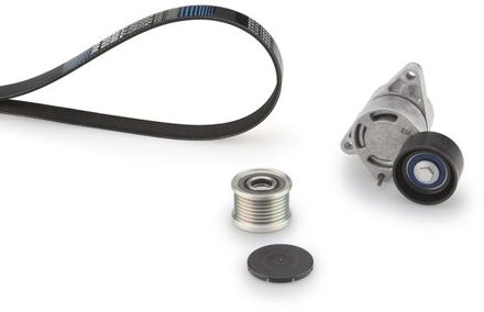 Nissan Multiriem set K017PK1103