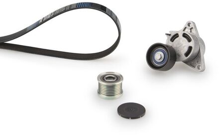 Nissan Multiriem set K037PK1113