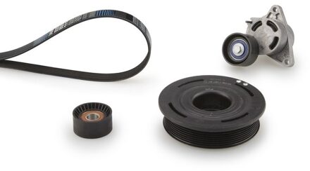 Nissan Multiriem set K047PK1835