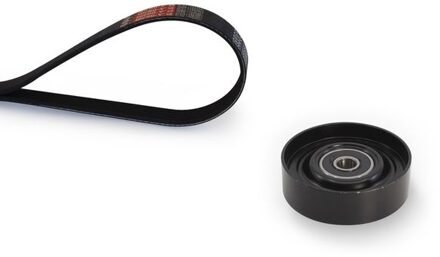 Nissan Multiriem set K076PK1113