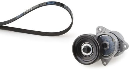 Nissan Multiriem set K156PK2245