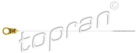 Nissan Oliepeilstok 702387