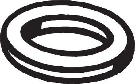 Nissan Pakking, uitlaatpijp 256580