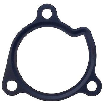 Nissan Pakking, waterpomp