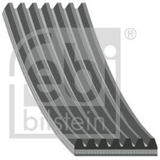 Nissan Poly V-riem 184864