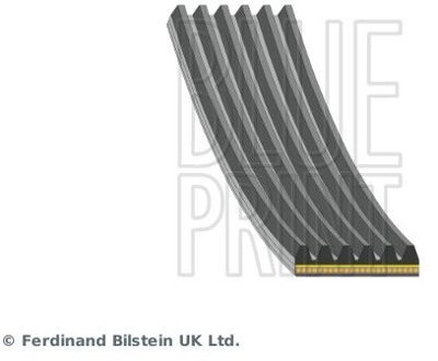 Nissan Poly V-riem AD06A1805