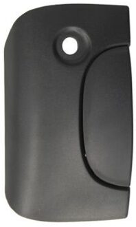 Nissan Portiergreep buitenkant 601009029417P