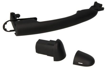 Nissan Portiergreep buitenkant 601009040405P