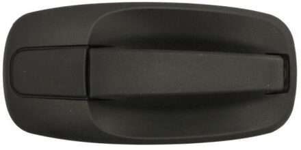 Nissan Portiergreep buitenkant 601009041410P