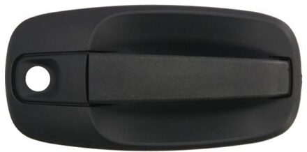 Nissan Portiergreep buitenkant 601009041410PP