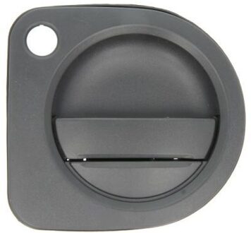 Nissan Portiergreep buitenkant 601009065401P