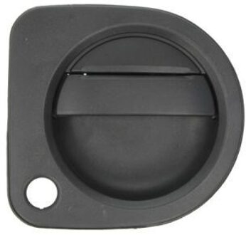 Nissan Portiergreep buitenkant 601009065402P