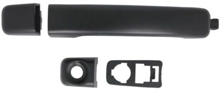 Nissan Portiergreep buitenkant 6010091224401P