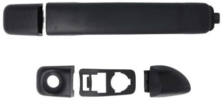 Nissan Portiergreep buitenkant 6010091224401PP