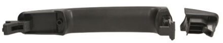Nissan Portiergreep buitenkant 601016040402P