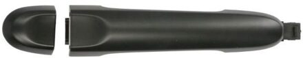 Nissan Portiergreep buitenkant 601016059402P